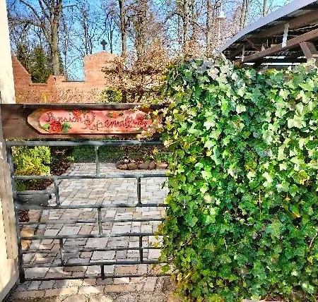 Apartmán Rosenvilla Sedlitz